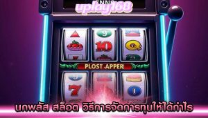 นกพลัส สล็อต วิธีการจัดการทุนให้ได้กำไร