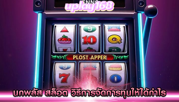 นกพลัส สล็อต วิธีการจัดการทุนให้ได้กำไร